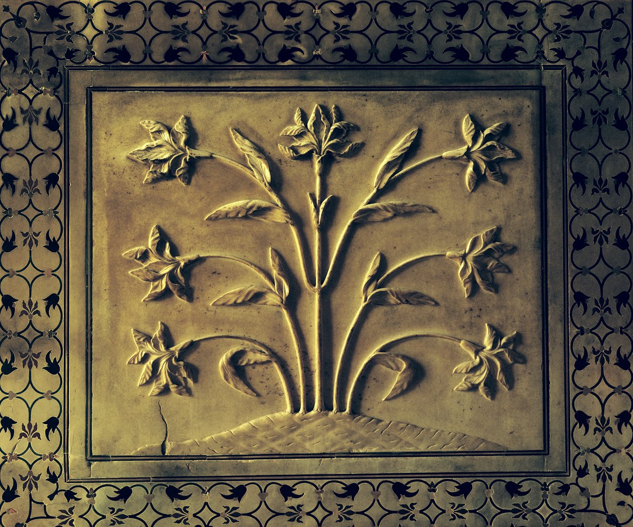 开花植物，从圆形画廊，1631-41（大理石）面板的细节 作者 印度学校