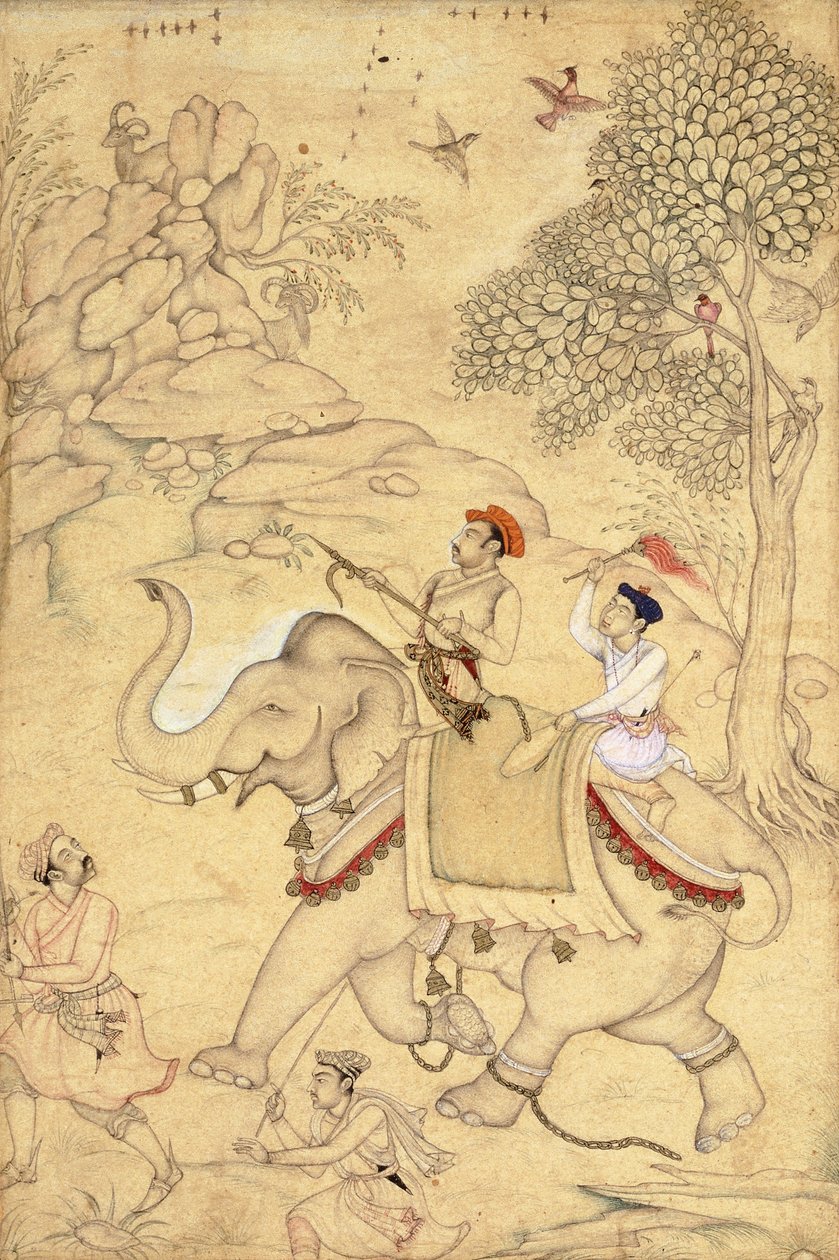 摄于1600-1650年，骑在大象身上的狩猎王子 作者 印度学校