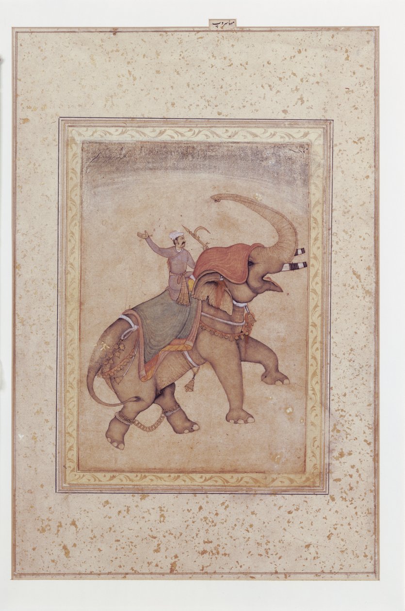 大象和马夫（赶象人），约 1595-1600 年（纸面不透明水彩、墨水和金色）。
1595-1600（纸面不透明水彩、墨水和金色） 作者 印度学校