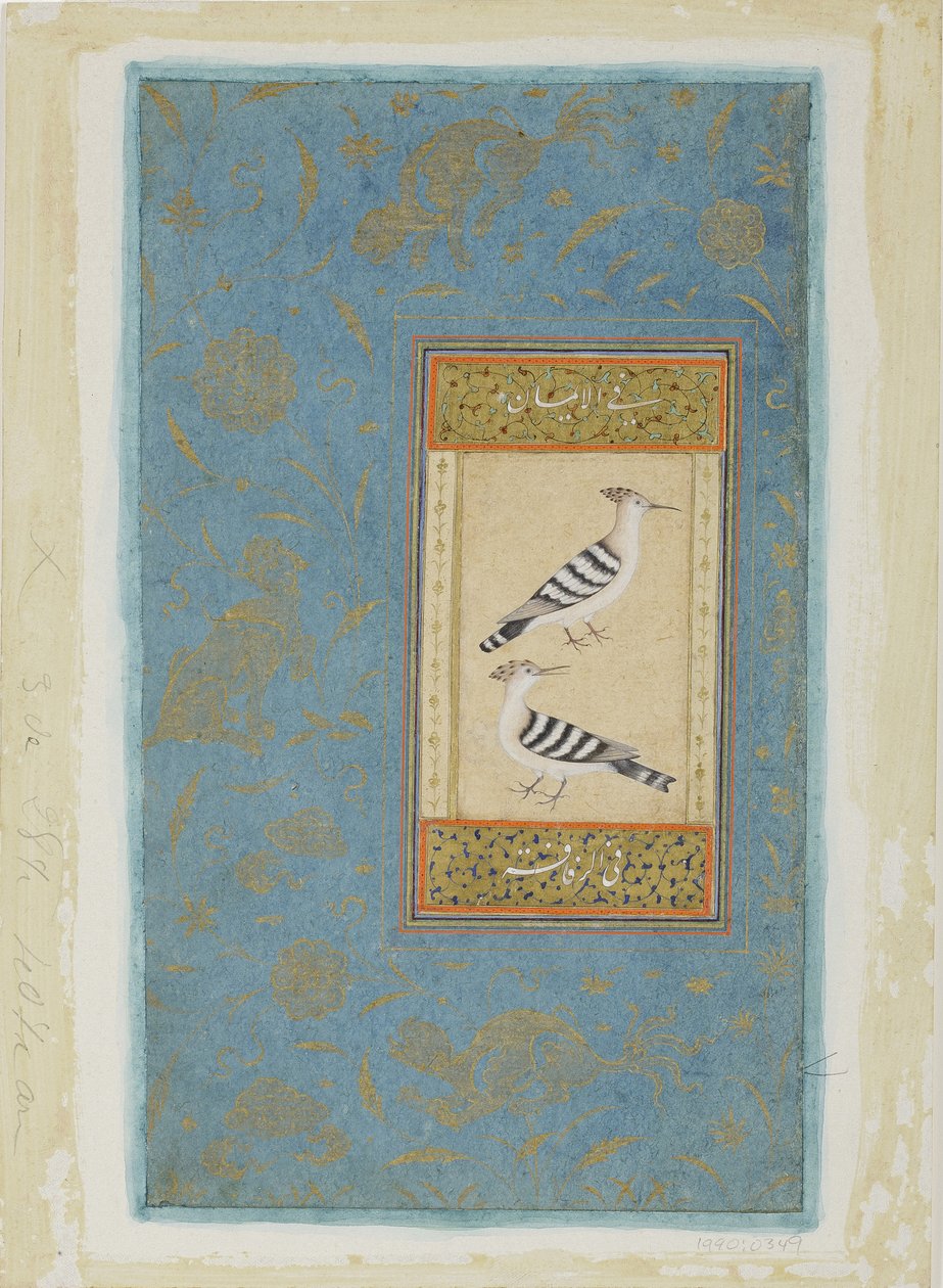 Hoopoes，c.1590（不透明的wc和黄金在纸上） 作者 印度学校