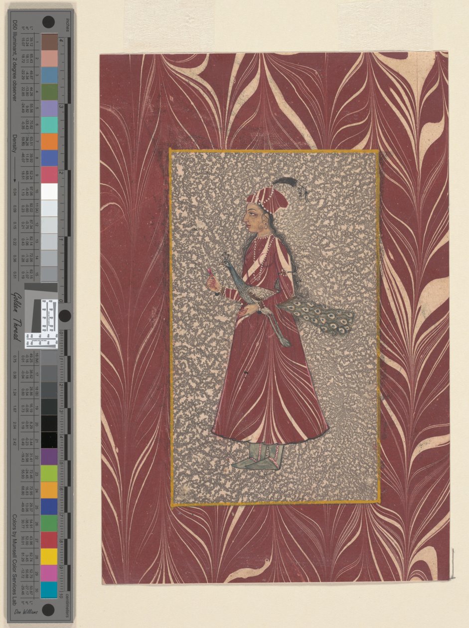 携带孔雀的女士，Bijapur，c.1660 作者 印度学校