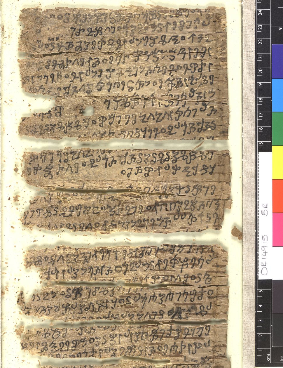 OMS OR 14915 f.5r Kharoṣṭi 的桦树皮手稿碎片 作者 印度学校