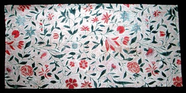 钢笔画的棉花，18世纪末（棉花）。 作者 印度学校