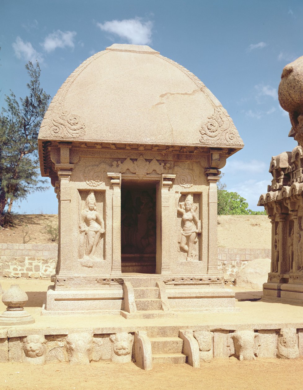Draupadi Ratha 作者 印度学校
