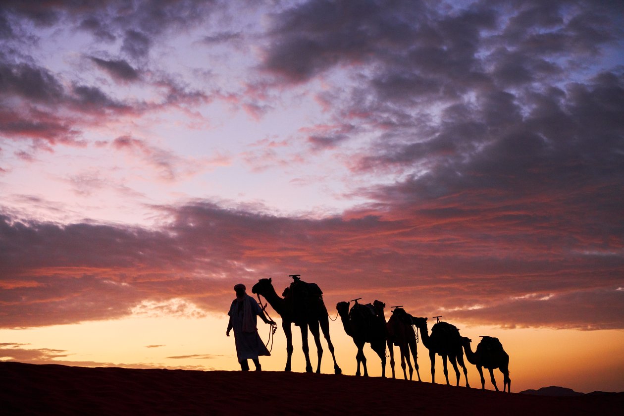 2019年，在摩洛哥梅尔祖加沙漠的厄格切比（Erg Chebbi），一名牧民牵着他的骆驼（照片 作者 艾拉·布洛克