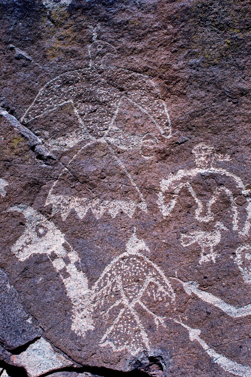 在新墨西哥州发现的 Anasazi 岩石艺术蚀刻画。 作者 艾拉·布洛克
