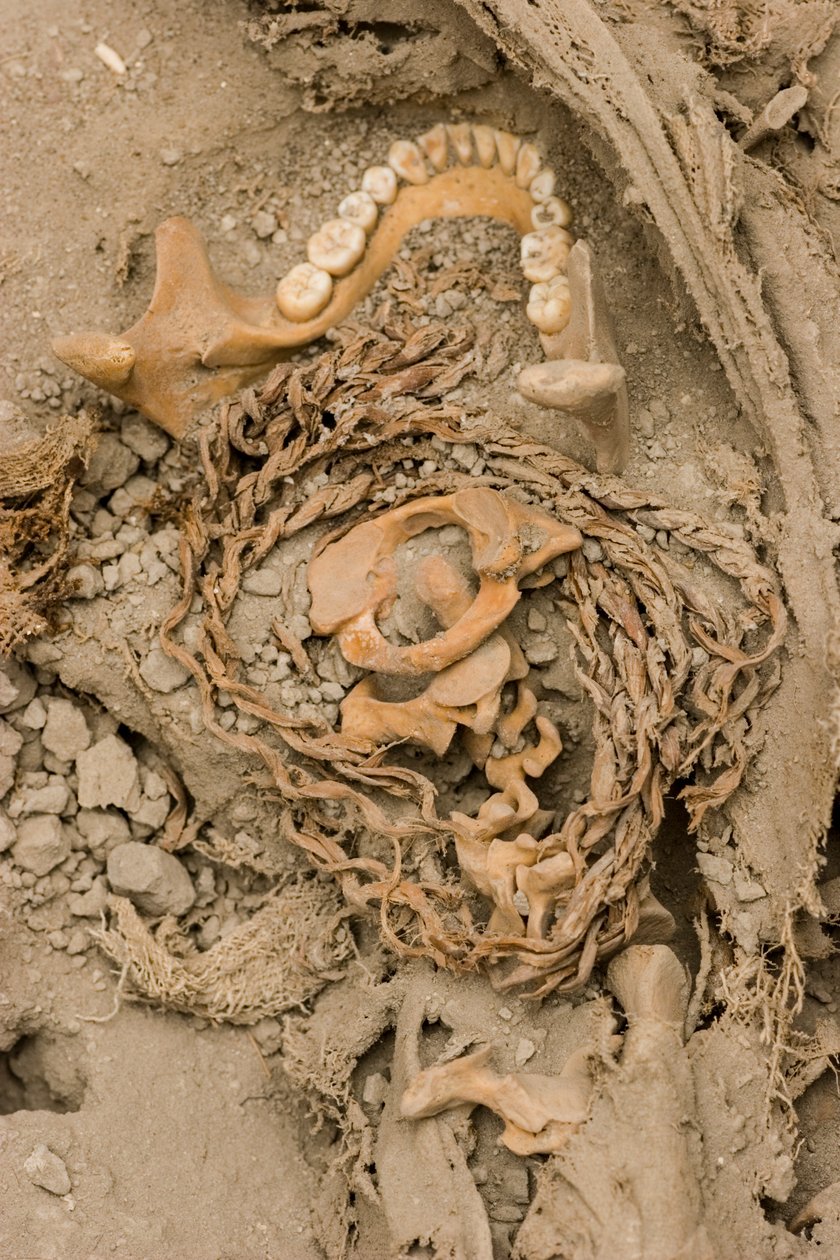 女性祭品的遗骸，2005 年（照片） 作者 艾拉·布洛克