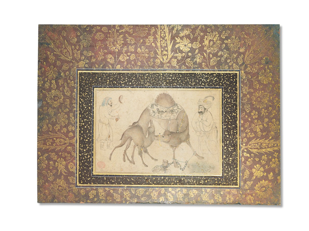 骆驼和她的小牛，萨法维德伊朗，1650-1700年 作者 伊朗学校