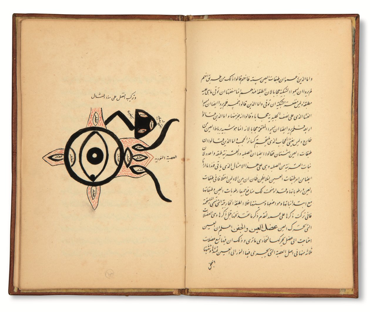 Hunayn Bin Ishaq（卒于公元 873 年）：关于眼科的三篇论文 (Maqalat)，伊朗卡扎尔，19 世纪上半叶（纸上墨迹） 作者 伊朗学校