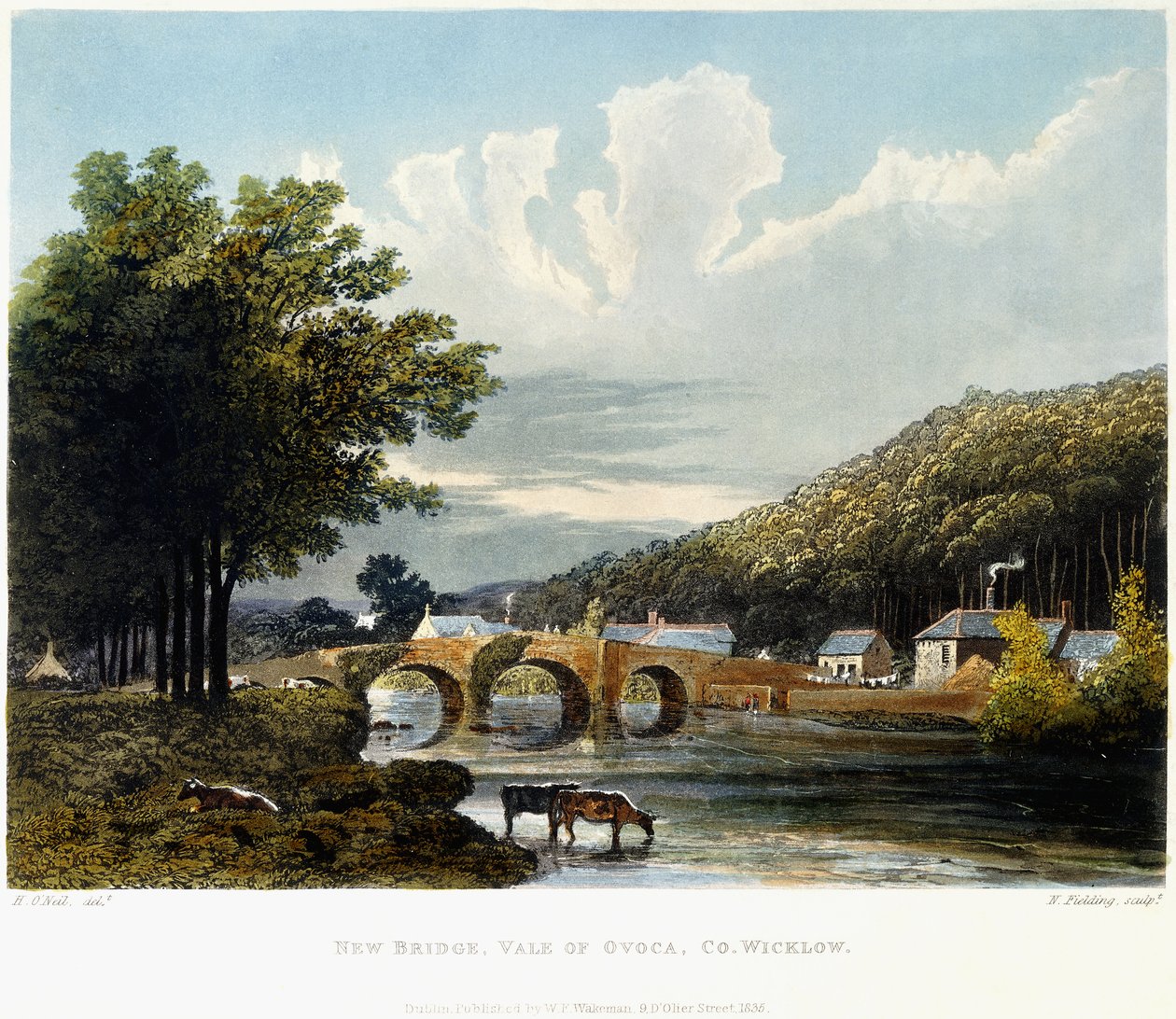 新桥，瓦基河谷，威克洛有限公司，1835年 作者 爱尔兰学校