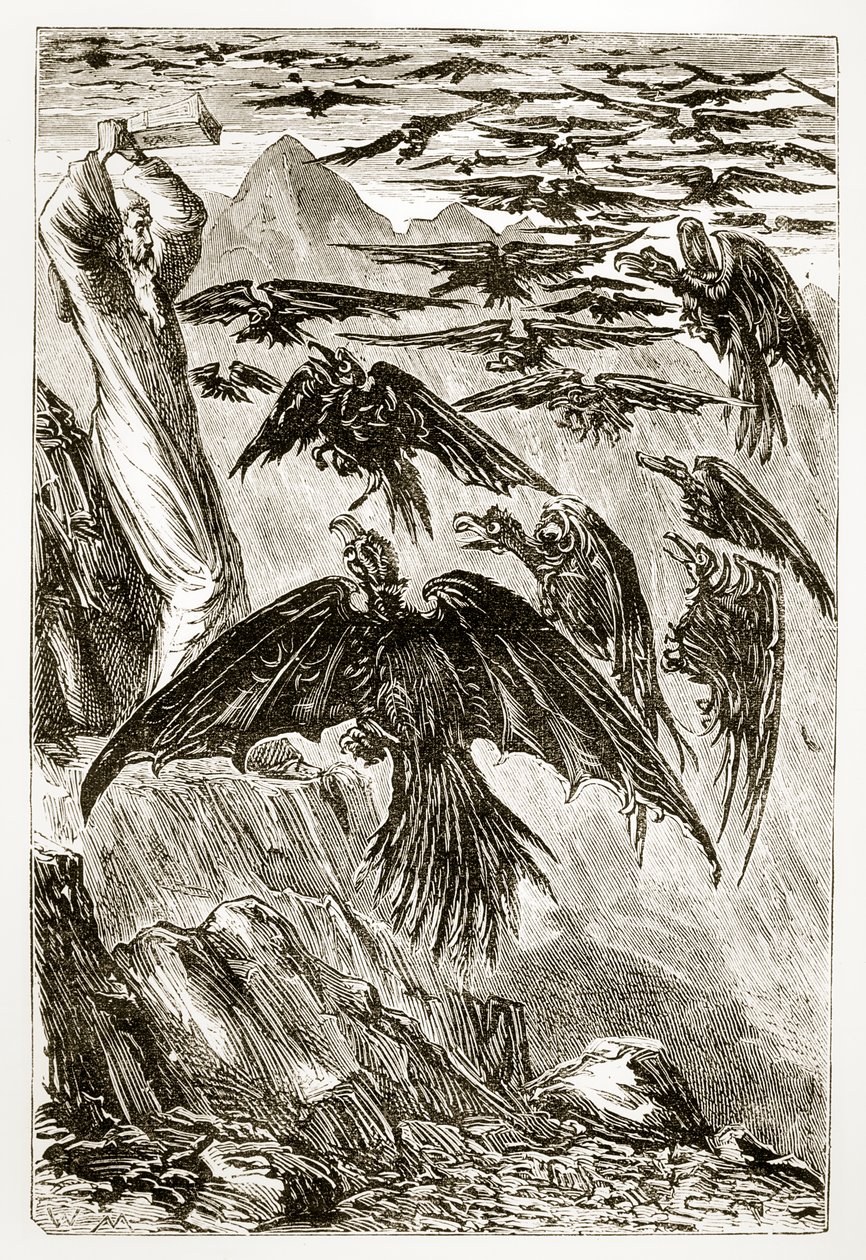 来自The Trias Thaumaturga的圣帕特里克和恶魔鸟，或爱尔兰的三个神奇工作圣徒，Mary Cusack（1829-99）发表于1890年代 作者 爱尔兰学校