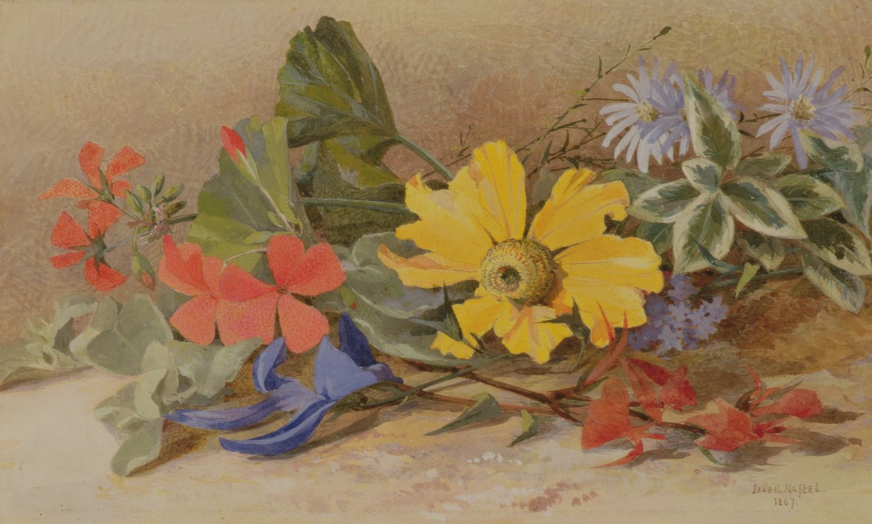 静物 - 混合花卉，1867年 作者 伊莎贝尔·奥克利·纳夫特尔