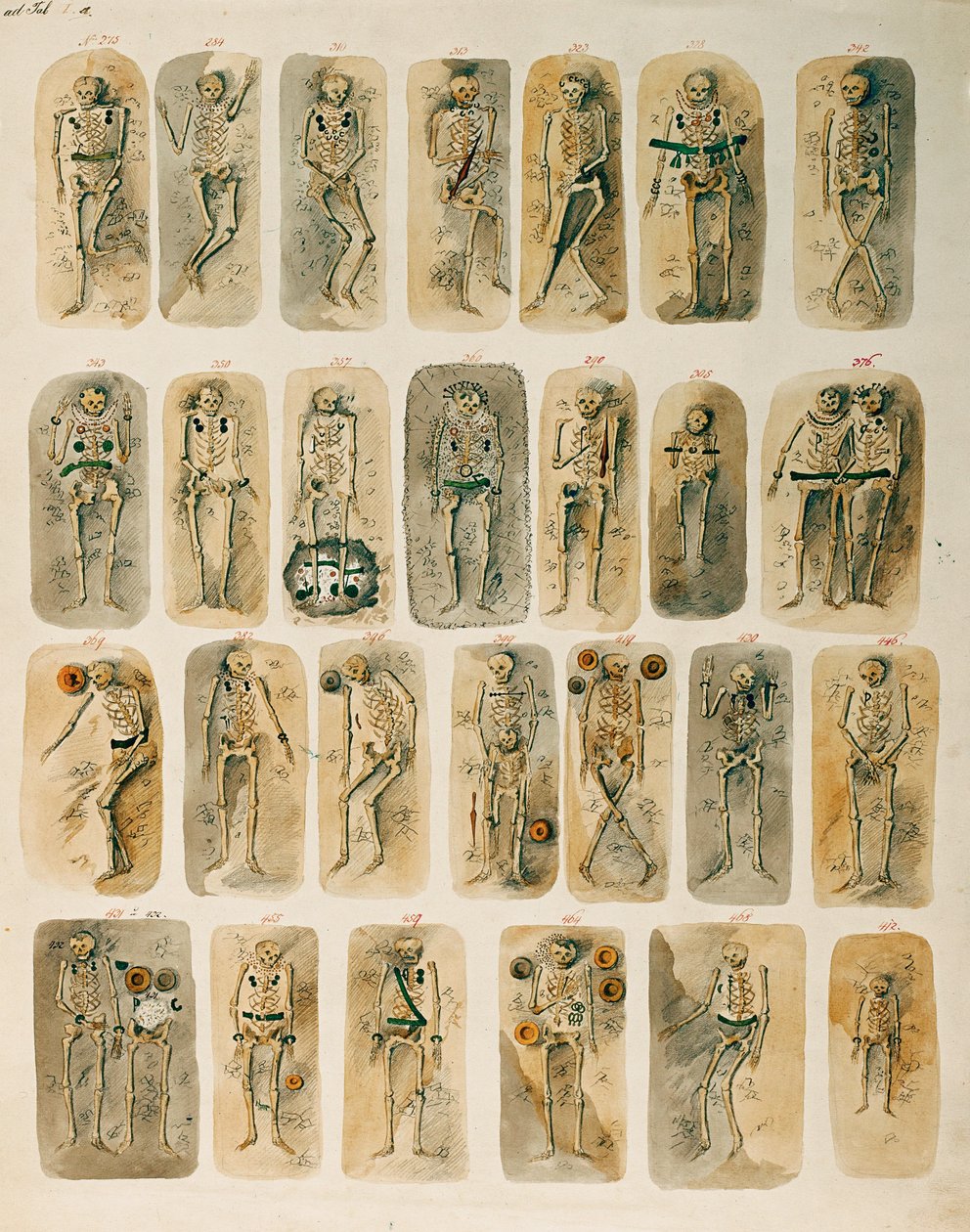  作者 伊西多·恩格尔