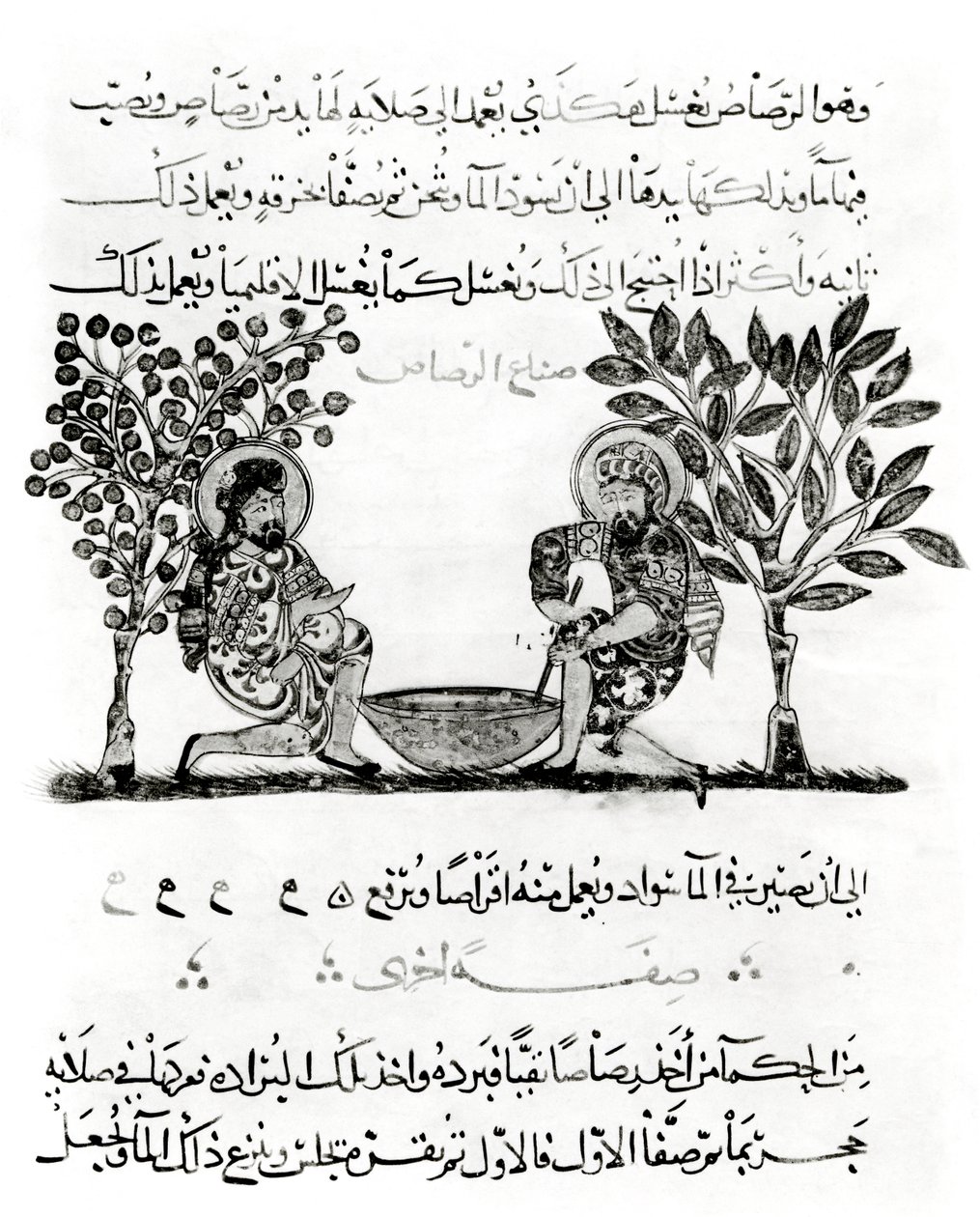制作主角，来自Dioscorides条约的阿拉伯文版，“De Materia Medica”，1222 作者 伊斯兰学校