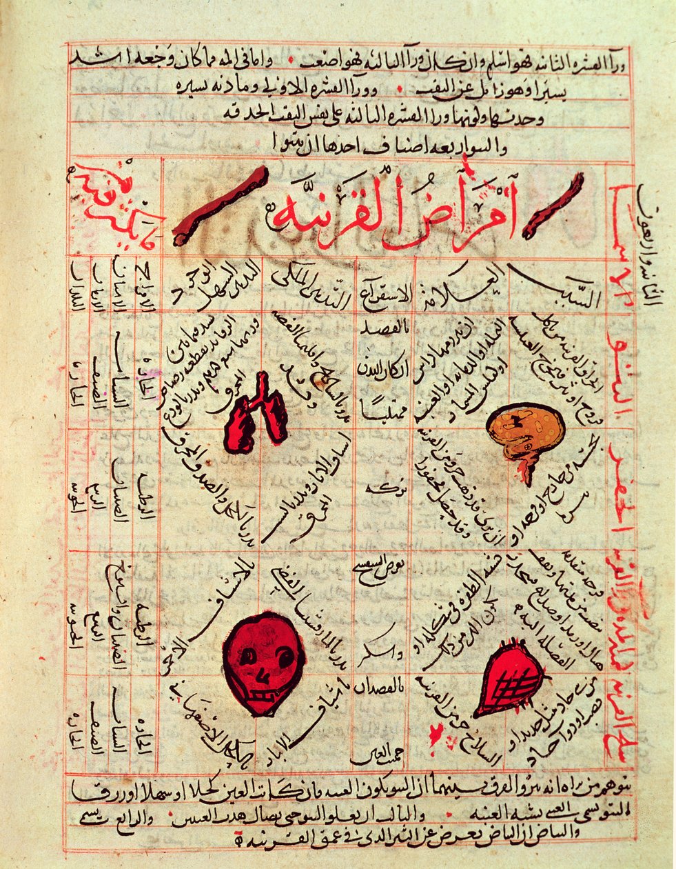 来自阿维森纳的“医学佳能”页面（Ibn Sina）（980-1037） 作者 伊斯兰学校