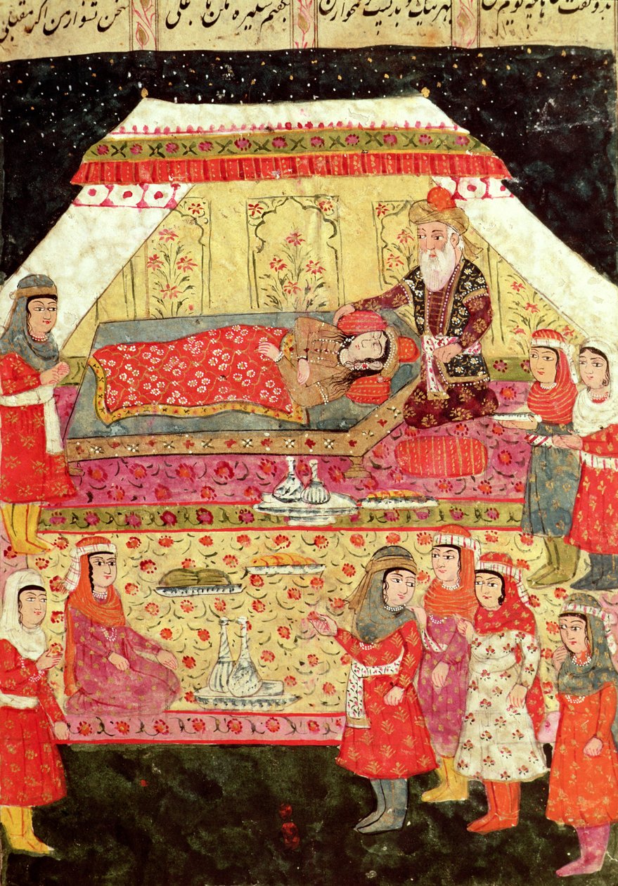 后宫场景，来自&39;Shahnama&39;（国王之书）的插图，作者：Abu&39;l-Qasim Manur Firdawsi（c.934-c.1020） 作者 伊斯兰学校