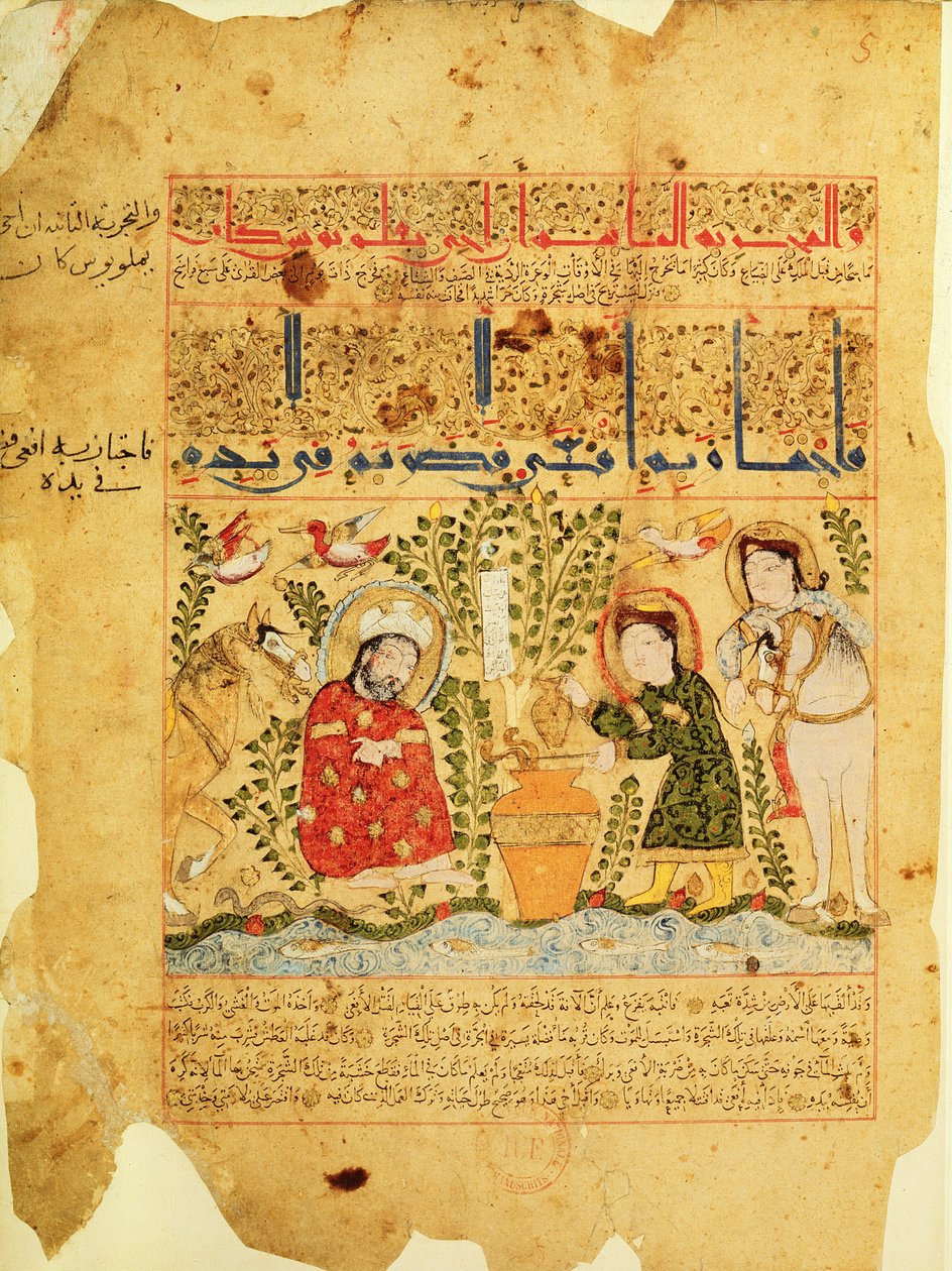 阿拉伯女士2964 fol.5来自加利恩之后的Theriac论文，1217年 作者 伊斯兰学校