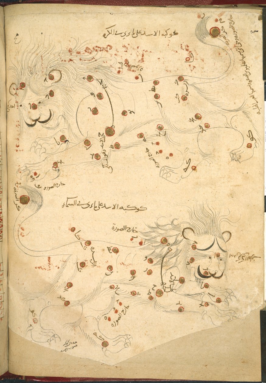 或 5323 f.45v 两只狮子，插图选自阿卜杜勒-拉赫曼-苏菲（Abd al-Rahman al-Sufi）的《恒星描述》（纸张上的墨水和彩色）。 作者 伊斯兰学校