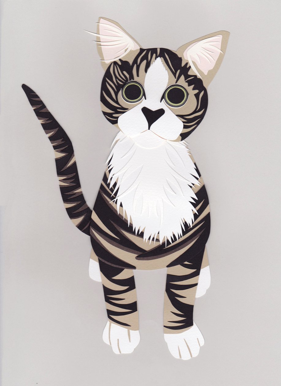 猫》，2016 年（纸质） 作者 伊莎贝尔·巴伯