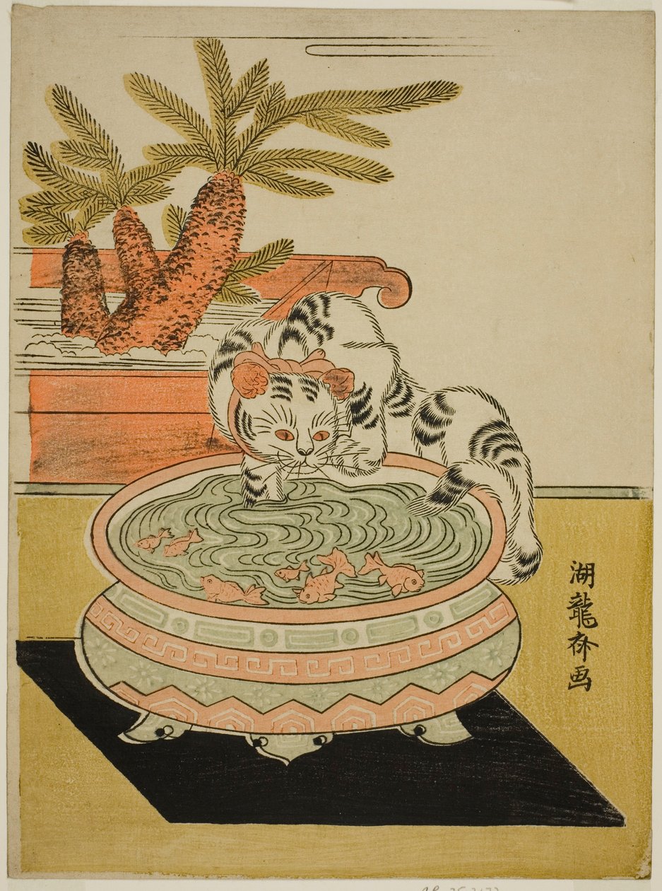 猫咪用爪子抓金鱼 作者 oda田K