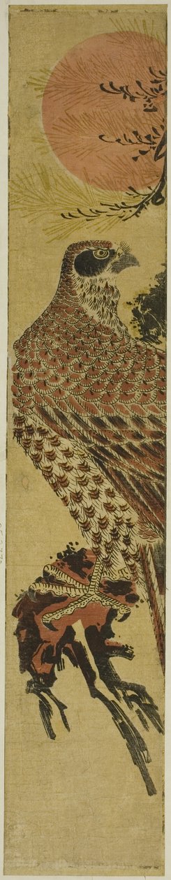 日出时的猎鹰 作者 oda田K