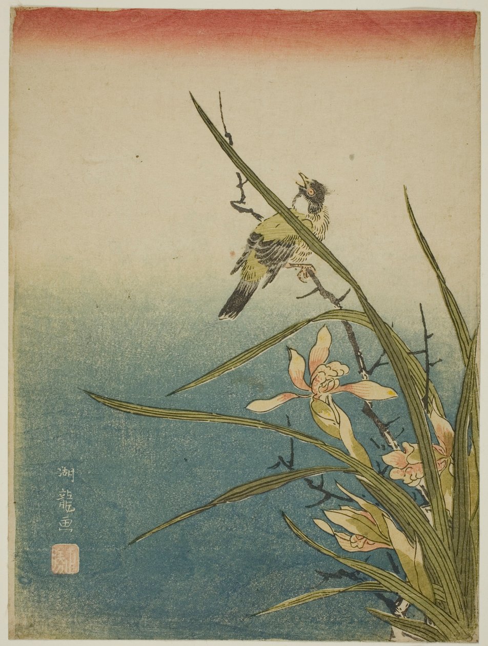 兰花和鸟 作者 oda田K