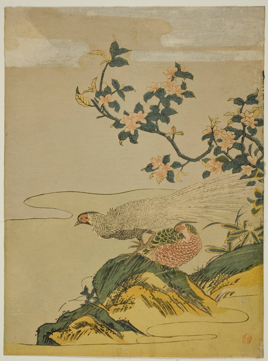 桃花枝下的野鸡 作者 oda田K