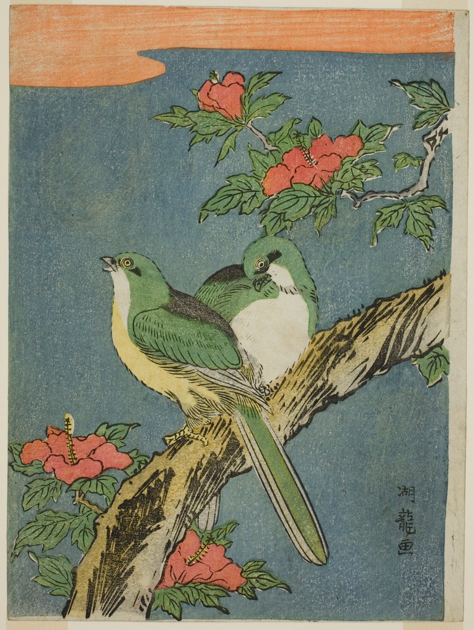 芙蓉树上的两只鸟 作者 oda田K