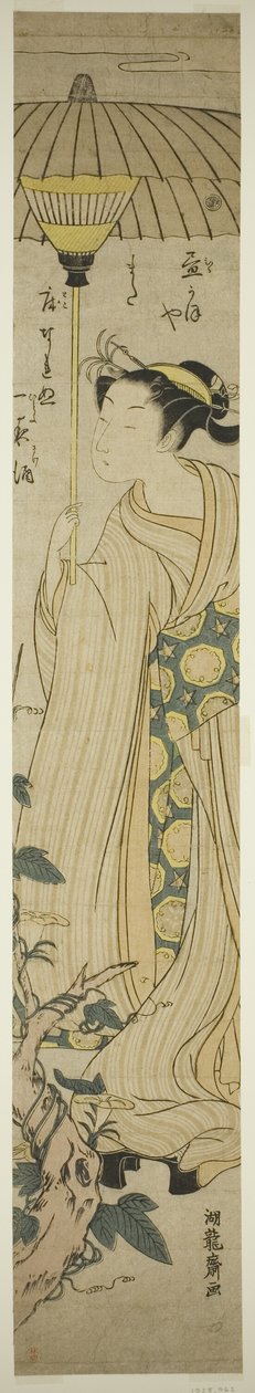 手持遮阳伞的年轻女子欣赏平尾（noon-face）花朵 作者 oda田K