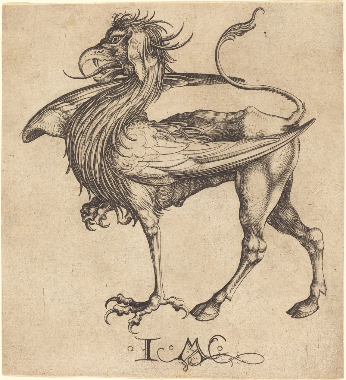 格里芬号 作者 伊斯拉赫尔·范·梅肯纳姆（Martin Schongauer）