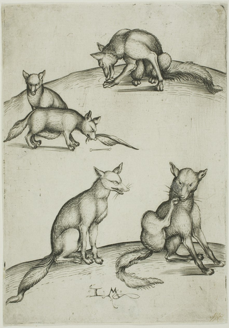 五只狐狸 作者 小艾希拉（Israhel van Meckenem）