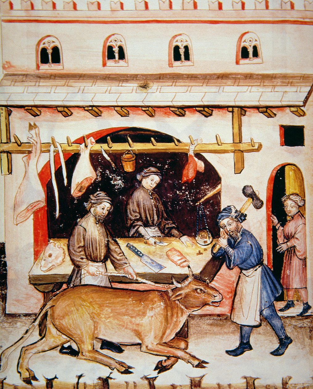 Fol.73v The Butchers：小牛肉，来自Tacuinum Santiatis Codex Vindobonensis的插图 作者 意大利学校