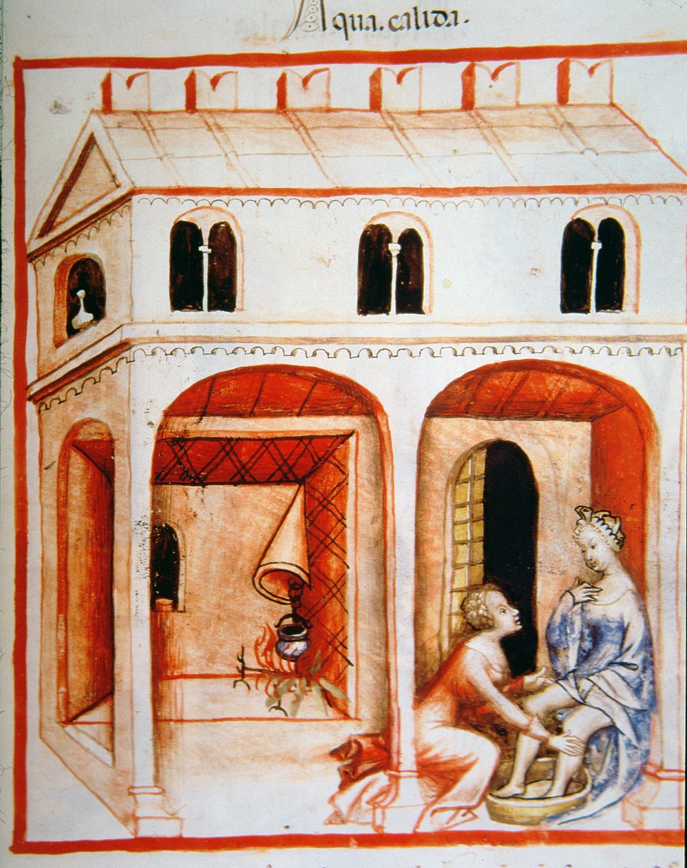 Fol.89r热水，来自Tacuinum Santiatis Codex Vindobonensis的插图 作者 意大利学校