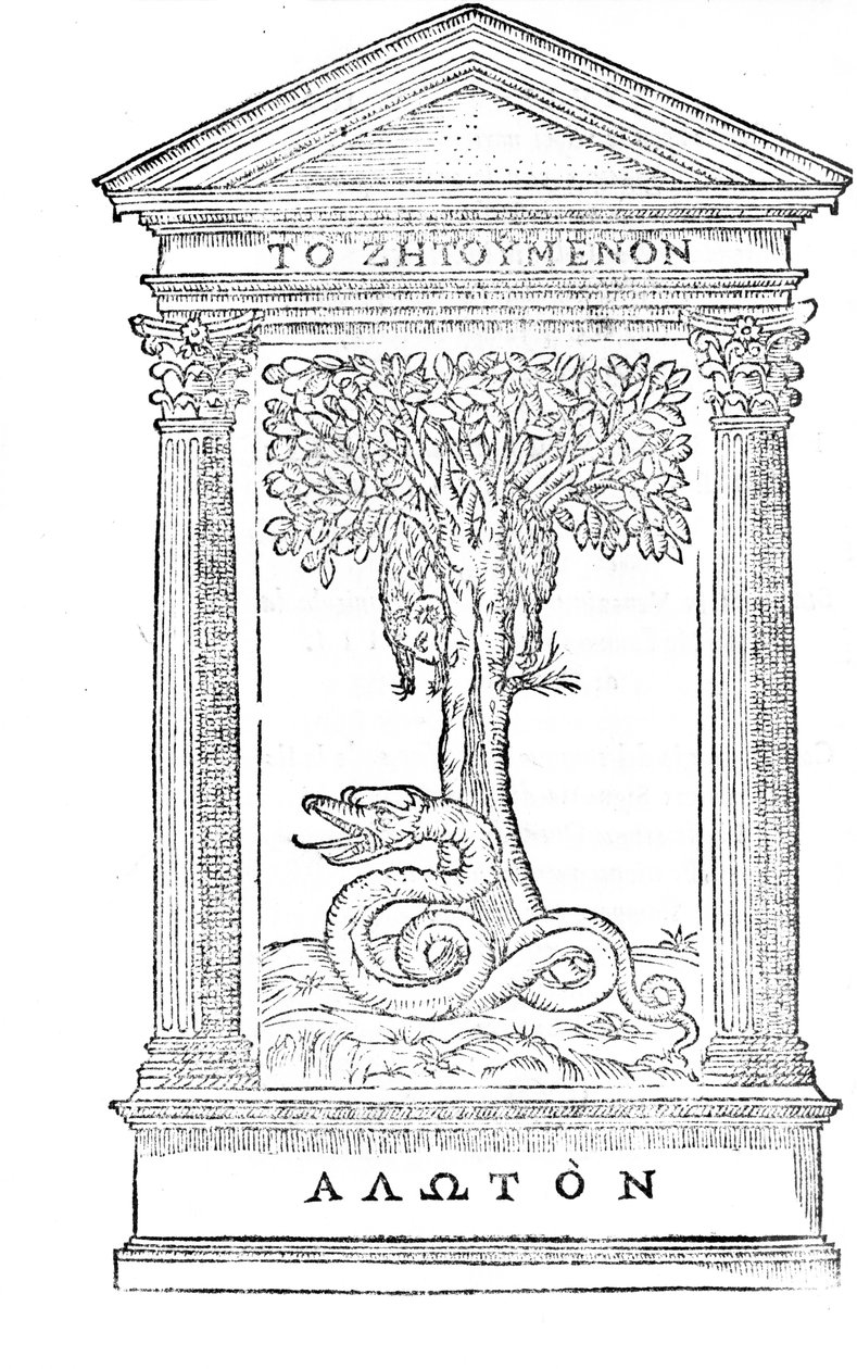 来自&39;La Liberata Da&39;Goti&39;的插图由Gian Giorgio Trissino于1548年出版 作者 意大利学校