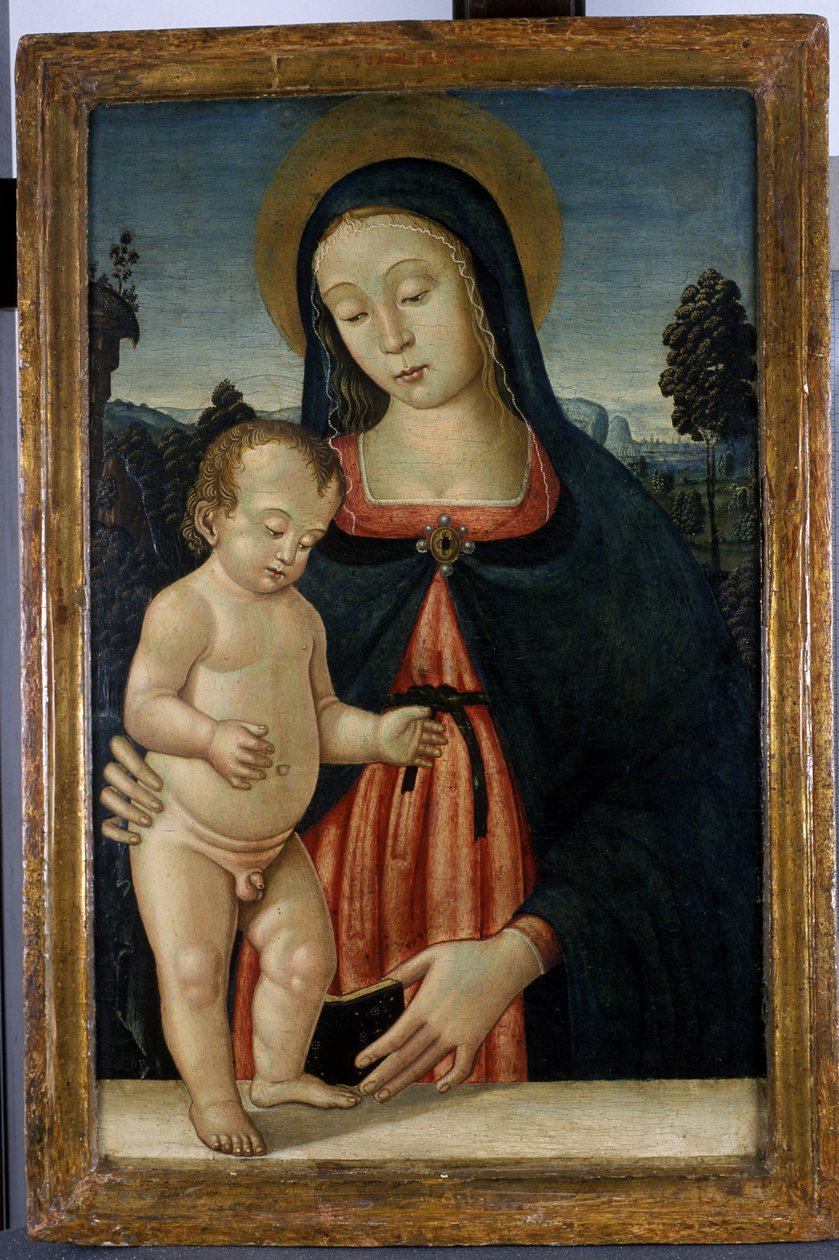 麦当娜和儿童，c.1500（杨木上的蛋彩画） 作者 意大利学校