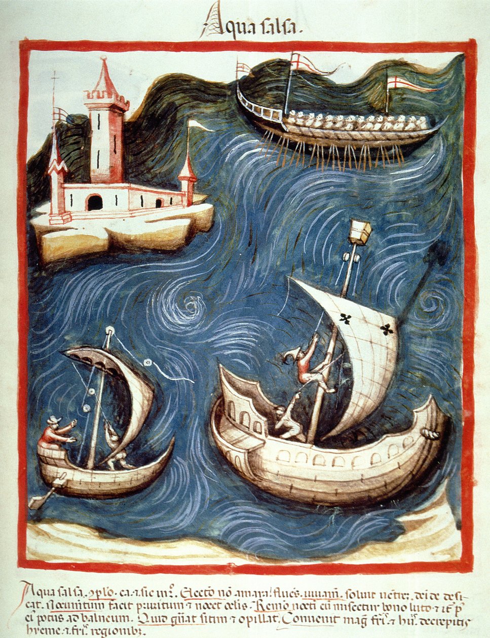 Nova 2644 f.88r海上船，Tacuinum Santiatis Codex Vindobonensis的插图 作者 意大利学校