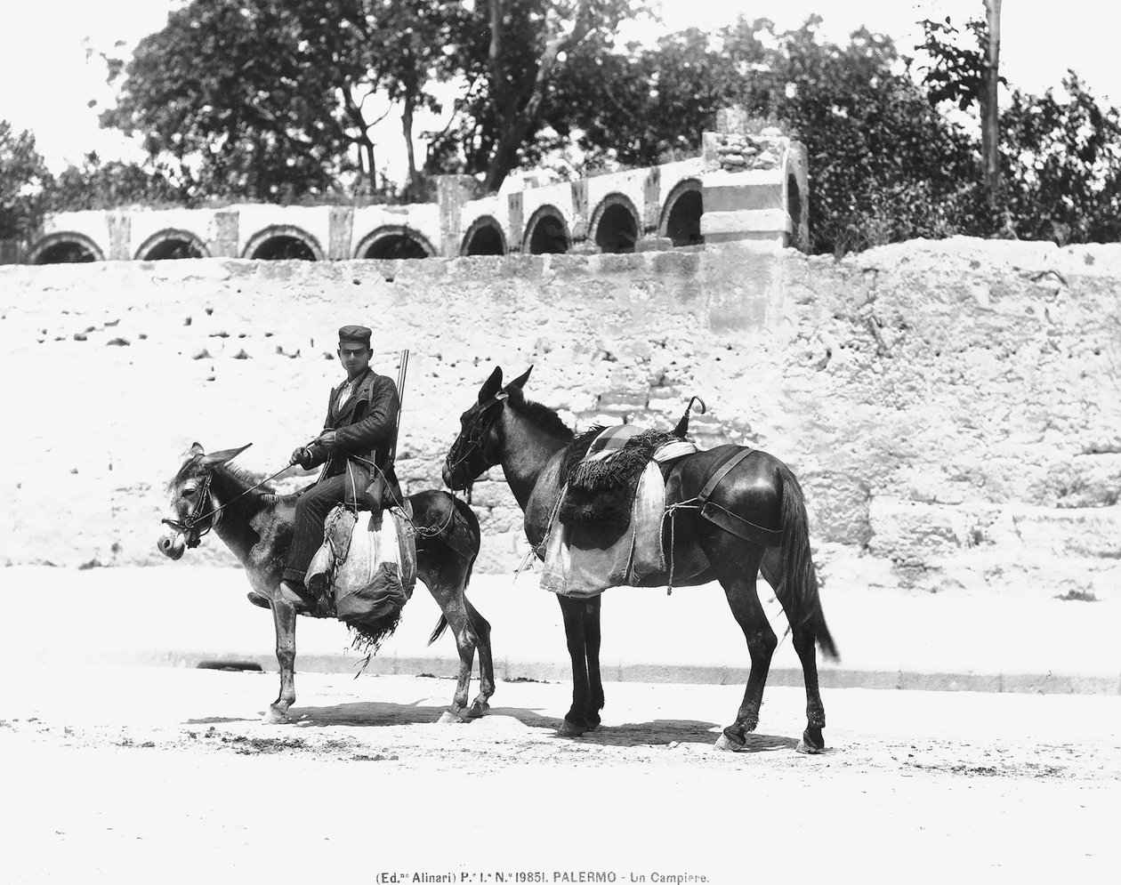 在Campiere，Palermo，c.1920 作者 意大利摄影师