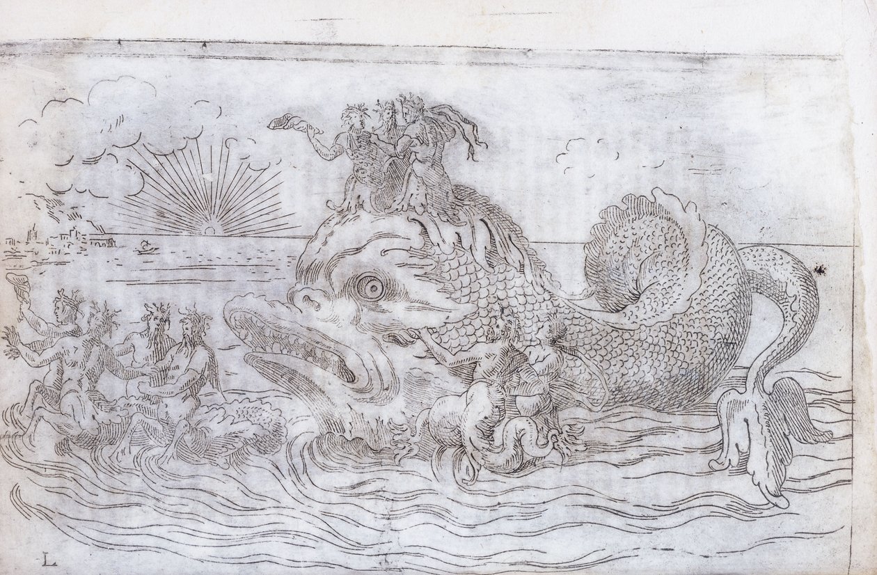 神奇的鱼战车，1579年 作者 意大利学校