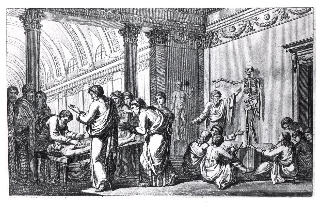 古代解剖学院，由Tabulae Anatomicae，Pietro Berrettini da Cortona（1596-1669）于1778年在罗马出版 作者 意大利学校