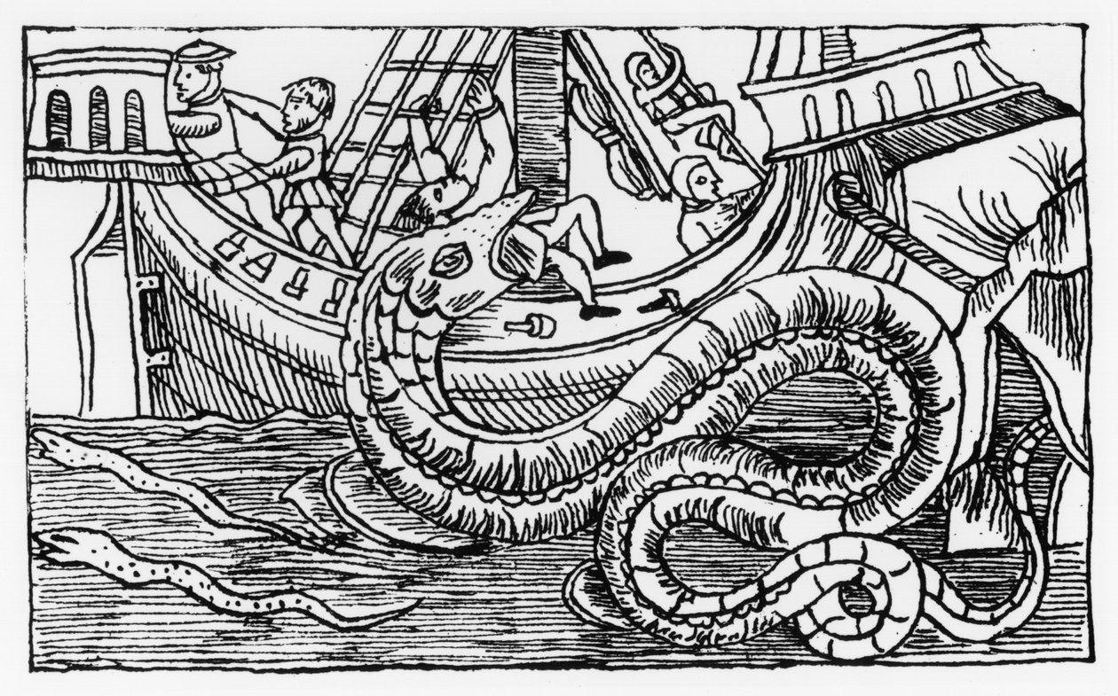 海蛇，从“北方的说明“，由奥劳斯·马格努斯（1590至57年）出版于罗马，1555 作者 意大利学校