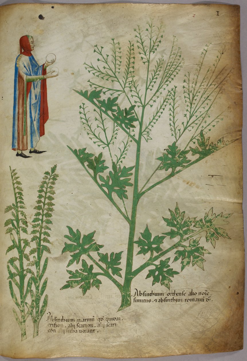 身着长袍的人物双手各持一个白色地球仪；植物，约 1440 年（牛皮纸上的墨水和色彩） 作者 意大利学校