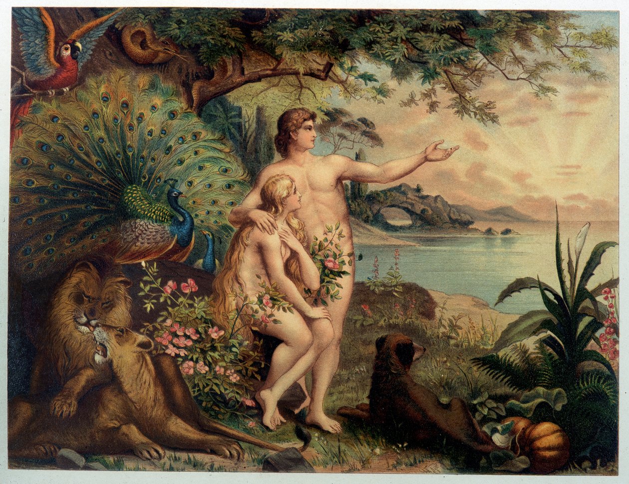 Adam and Eve au Paradise au Paradise Earthly (Eden) - 在《金色经典圣经：古代和新奋斗中的神圣启示史》》中，乔瓦尼·拉迪斯劳·西科拉（Giovanni Ladislao Sykora）（第 1 卷），唐·克莱门特·贝内蒂 (Don Clemente Benetti) 翻译。 （意大利圣经） 作者 意大利学校