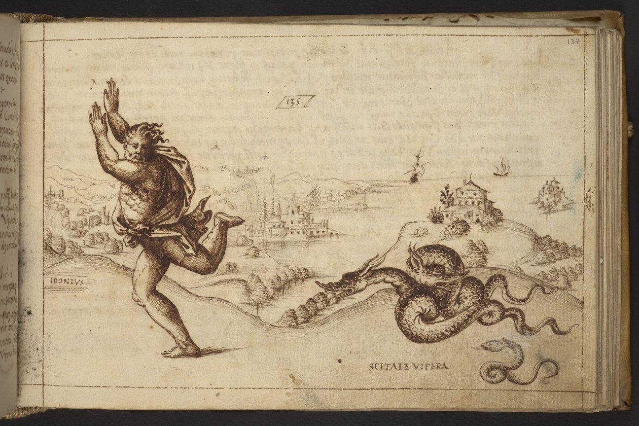 Add.82955，f.134 被蛇追逐的人像，选自《动物史 作者 意大利学校