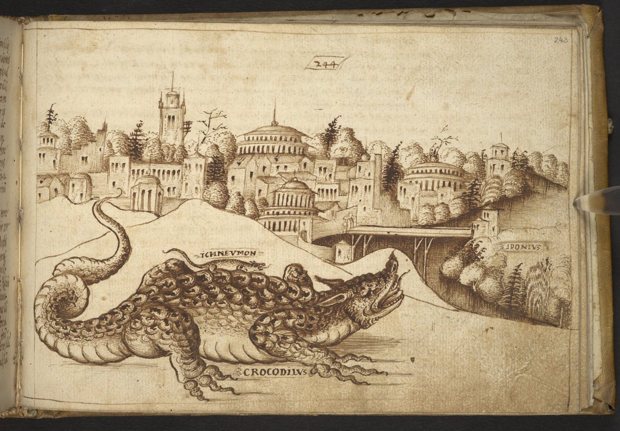 Add.82955，f.243 一条鳄鱼（"crocodilius"），选自 Historia Animalium，（由 245 幅不同种类的动物和神兽的笔墨画组成，每幅画都附有说明。 作者 意大利学校