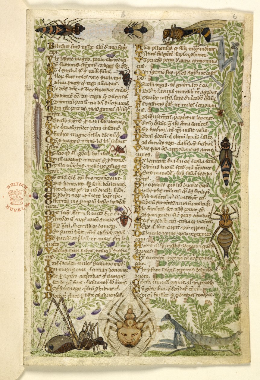 添加 MS 28841 f.006r 关于七大恶习的散文论文和关于腓特烈二世时期西西里历史事件的诗歌的叶片，作者科恰雷利，约 1330-40 年 作者 意大利学校