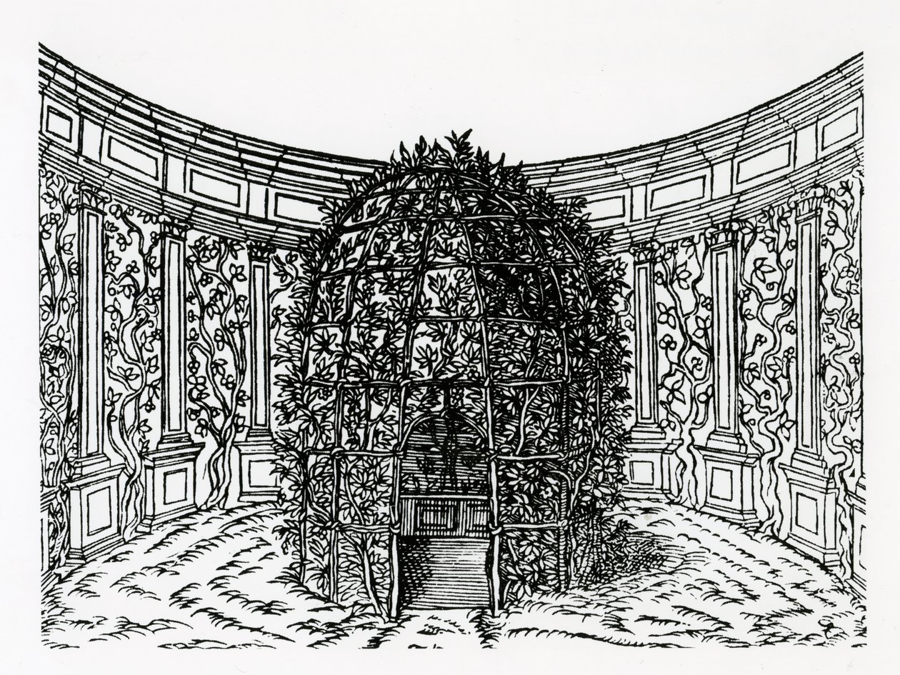 来自Hypnerotomachia Poliphili的Arbor归属于Francesco Colonna（c.1432-1527），出版于1499年 作者 意大利学校