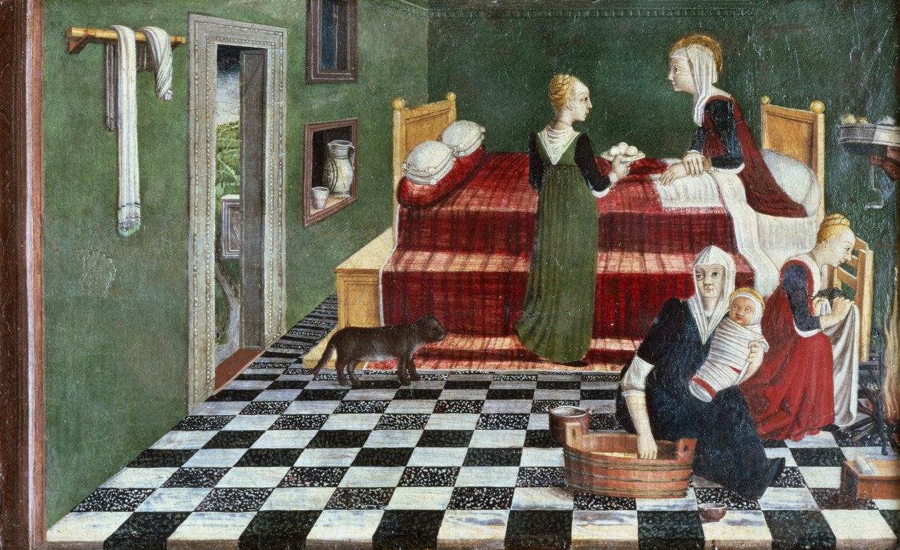 圣母的诞生（预定的隔间），威尼托，c.1480 作者 意大利学校
