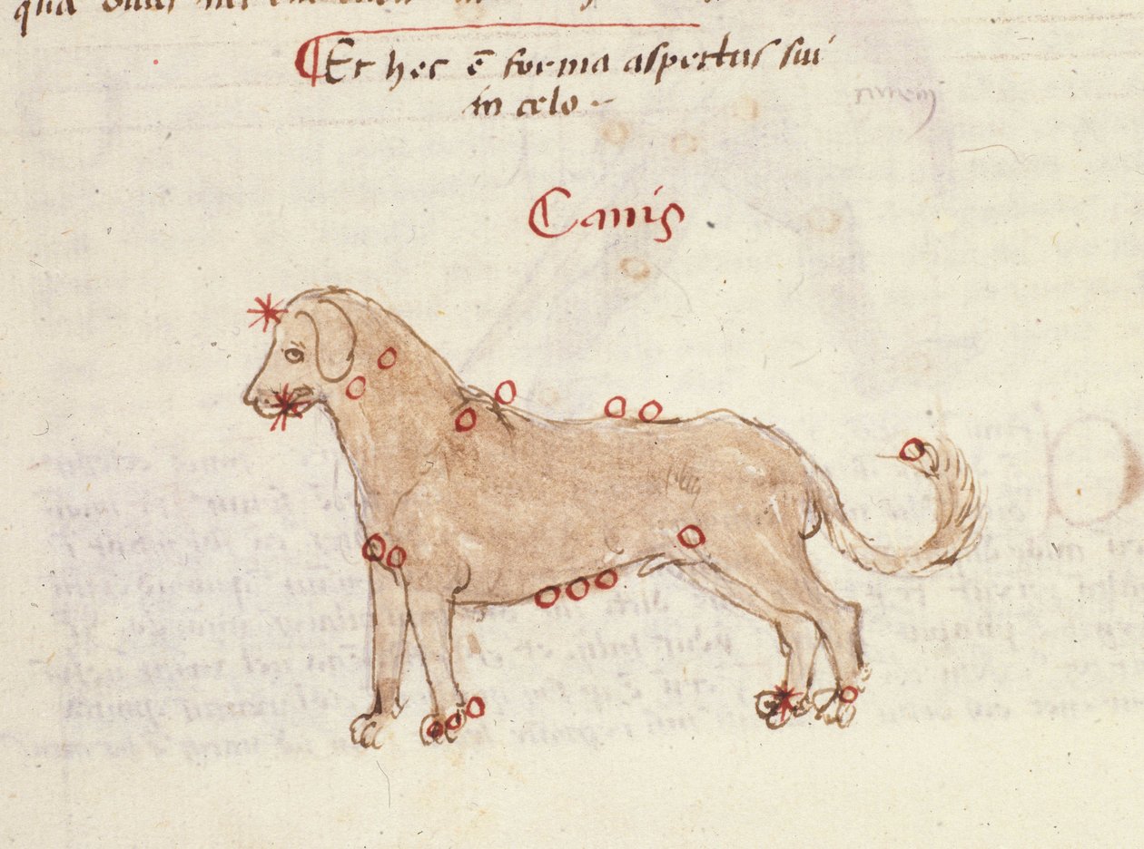 狗星座（Canis）。 Biasino da Parma (Blaise de Parma) (1425-1457) 的《天文学》微型图 作者 意大利学校