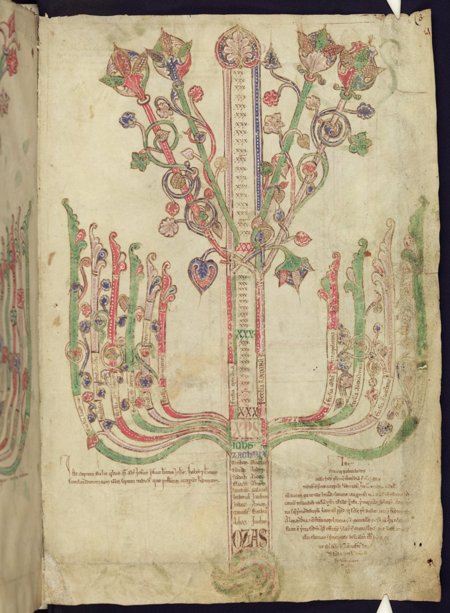 科珀斯克里斯蒂牛津MS 255A f.11r树描绘了新约中圣经人物的谱系 作者 意大利学校