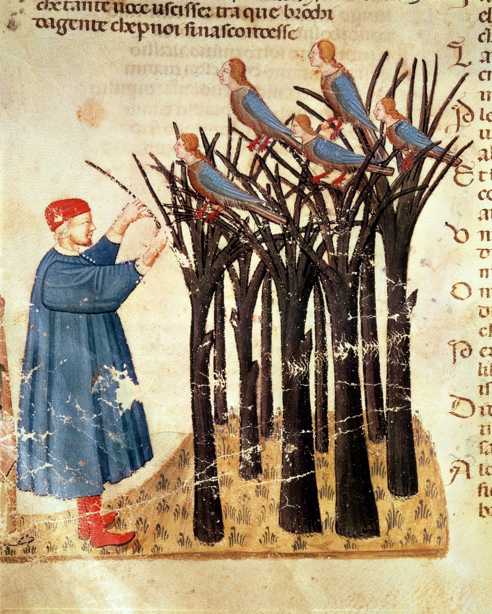 Dante和灵魂转化为鸟类，来自Dante Alighieri的神曲（1265-1321） 作者 意大利学校